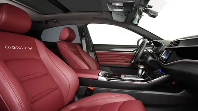 دیگنیتی - تصویر 5