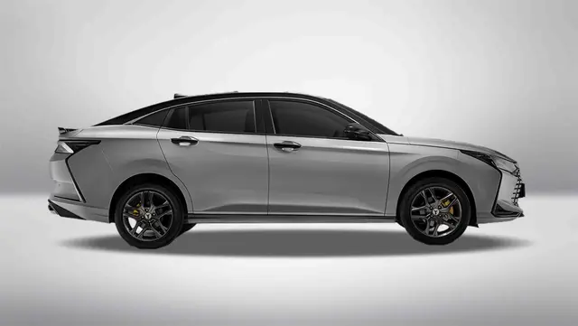 لاماری اکو - تصویر 14