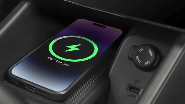 لاماری اکو - تصویر 5