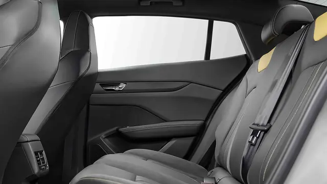 لاماری اکو - تصویر 9